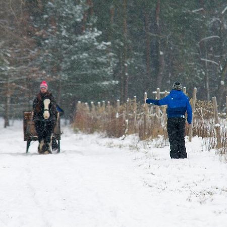 Kolorowe Wzgorze Agroturystyka I Konie Trojanow Esterno foto