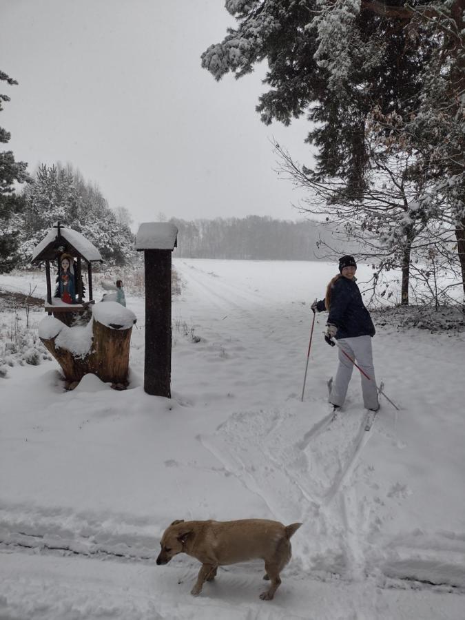 Kolorowe Wzgorze Agroturystyka I Konie Trojanow Esterno foto