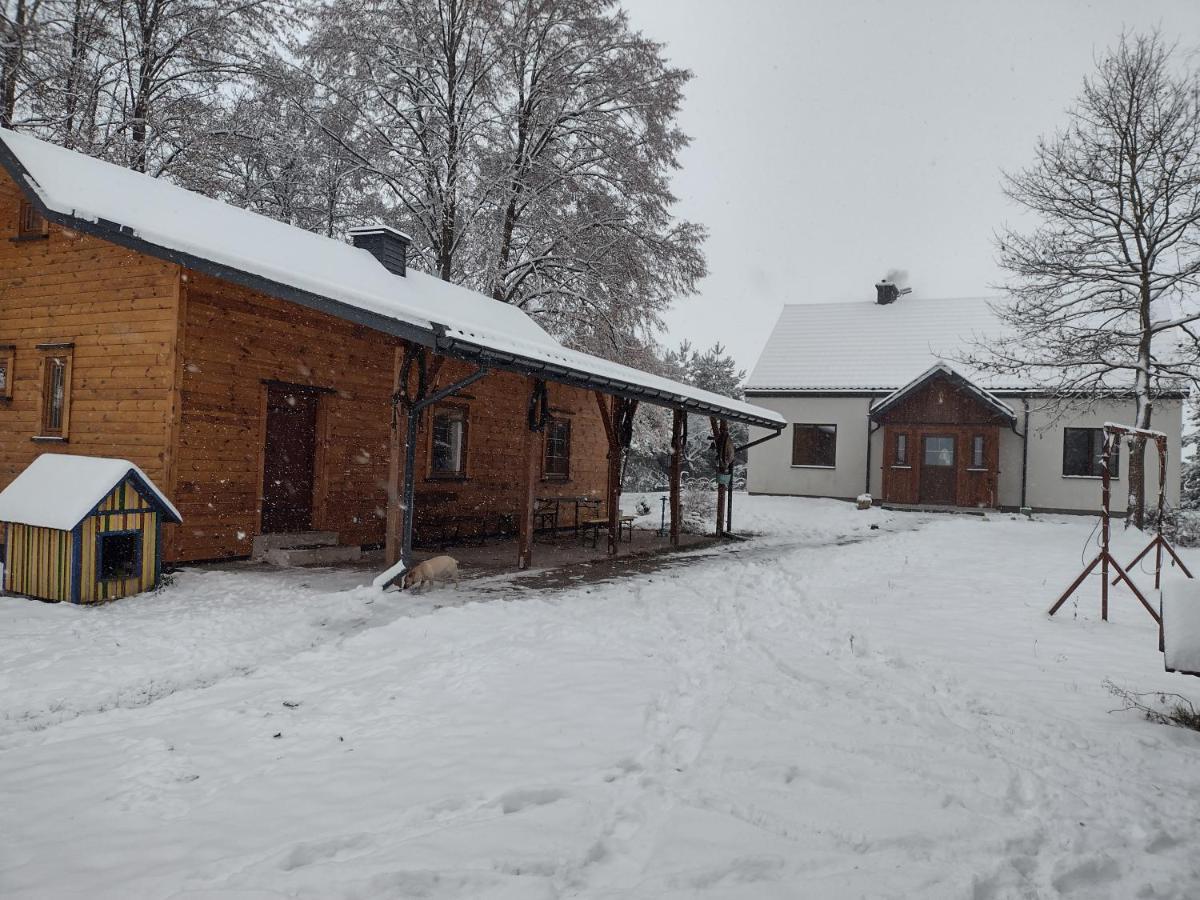 Kolorowe Wzgorze Agroturystyka I Konie Trojanow Esterno foto