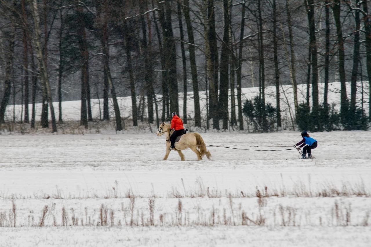 Kolorowe Wzgorze Agroturystyka I Konie Trojanow Esterno foto