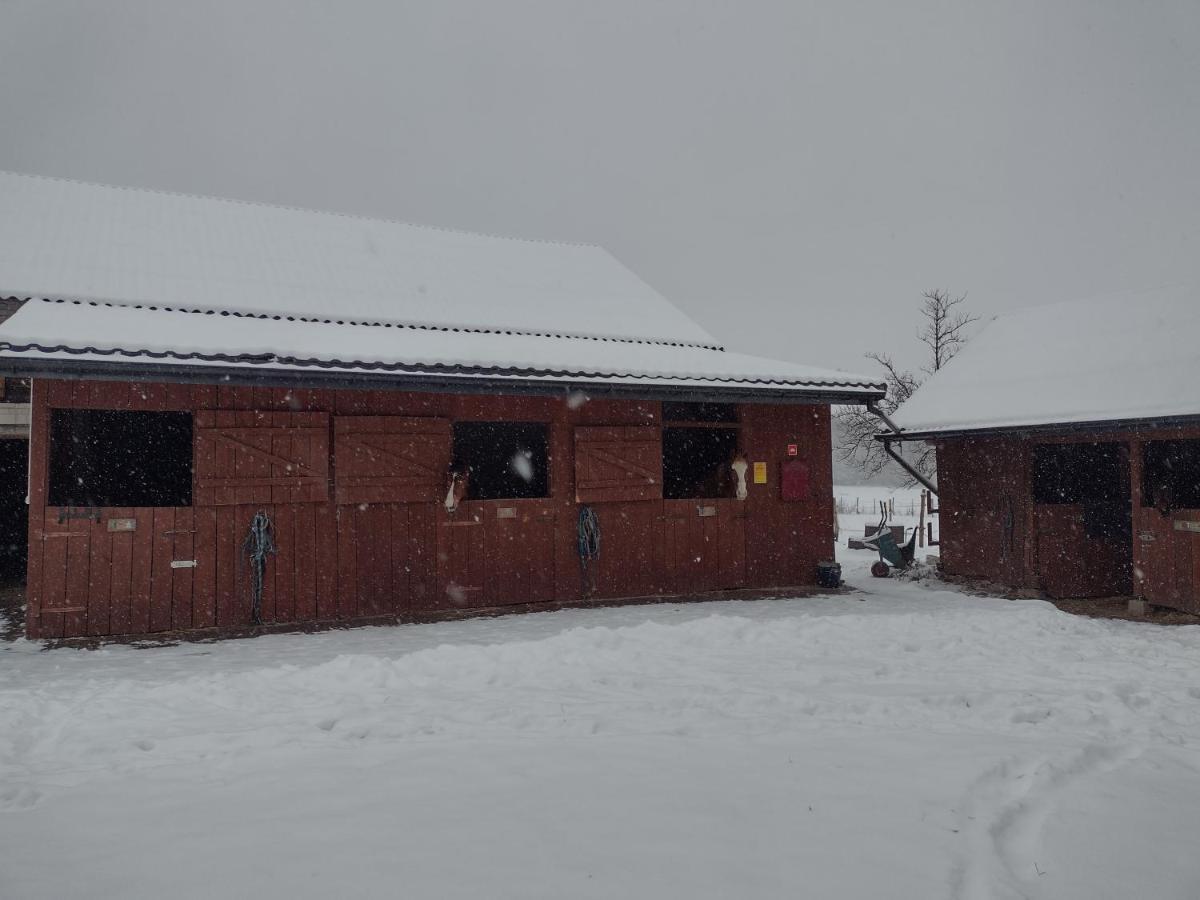 Kolorowe Wzgorze Agroturystyka I Konie Trojanow Esterno foto