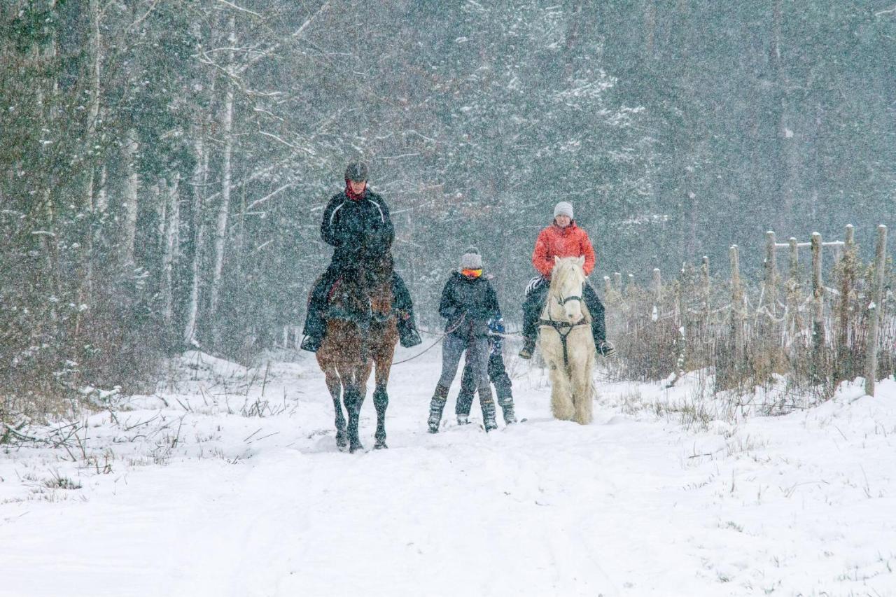Kolorowe Wzgorze Agroturystyka I Konie Trojanow Esterno foto