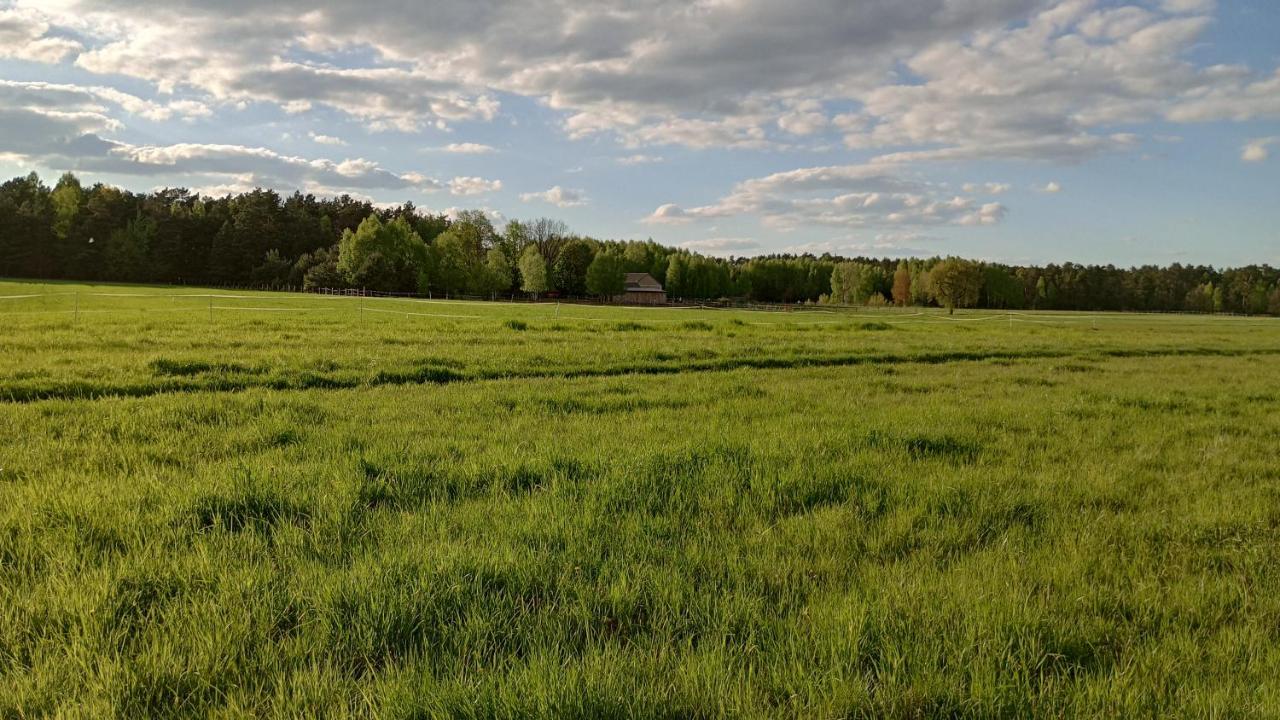 Kolorowe Wzgorze Agroturystyka I Konie Trojanow Esterno foto