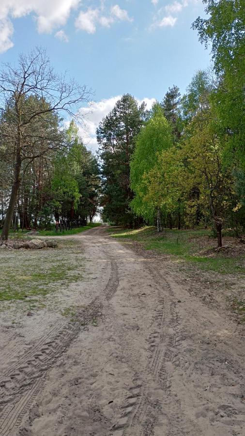 Kolorowe Wzgorze Agroturystyka I Konie Trojanow Esterno foto