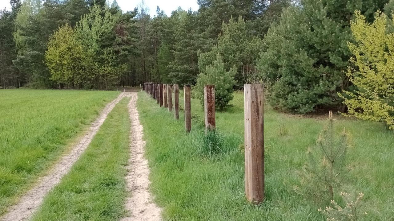 Kolorowe Wzgorze Agroturystyka I Konie Trojanow Esterno foto